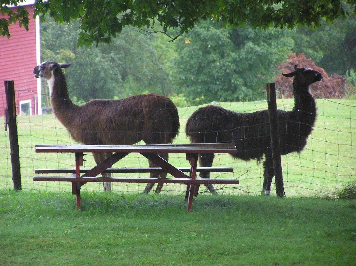 Maple Hill Farm Inn Augusta Exteriér fotografie